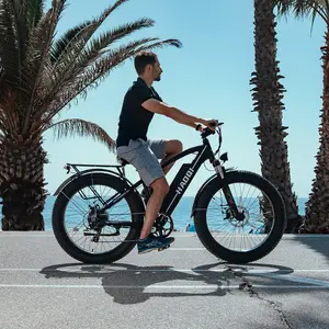 HAOQI Leopard Pro Fat Tire Electric Bike(Best-Seller of HAOQI Ebike)