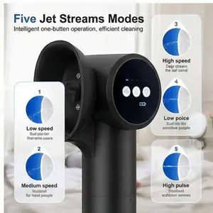USB charging earwax cleaner, suitable for flushing and cleaning earwax buildup. Dual-chamber design, with 5 modes available. Comes with two soft heads for replacement. Ideal as a holiday gift, suitable for giving to family and friends