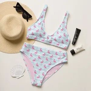 Pink Flamingo High-Waisted Bikini Full Coverage Bikini Plus Size Bikinis Bikini Separates Flamingo Swimsuits Eco-Friendly Swimwear