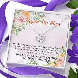 Mothers Day Gift Stepped Up Mom, Gifts for Mom, Bonus Mom Necklace from Daughter/Son, Infinity Heart Necklaces for Women, Mothersday Gift for Stepmom/Mother in Law