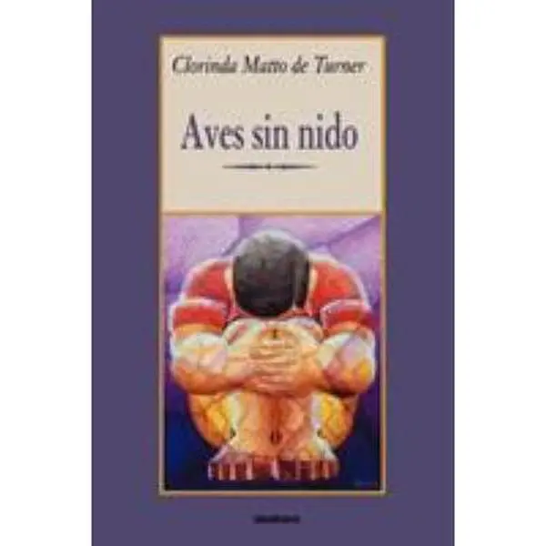 USED Book - Aves sin nido by Matto de Turner, Clorinda (Paperback) - Spanish