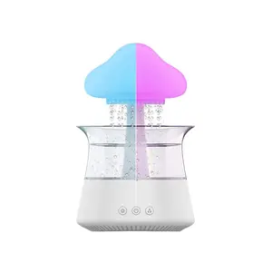 Rain Cloud Humidifier
