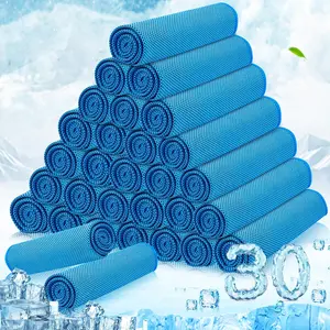 30 Packs Cooling Towels Bulk Cooling Towels for Neck and Face Gym Workout Cooling Neck Rags for Sports Yoga Soft Microfiber Breathable  Rags for Hiking Running Fitness-Blue