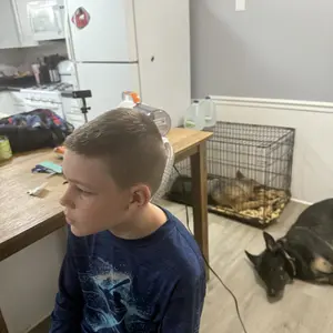 PAWING Pet Grooming Kit with Vacuum, All-in-1 Professional Deshedding Tools for Dogs & Cats - Low Noise Dogs Vacuum Cleaner with 2L Large Capacity Dust Cup for Shedding Pet Hair