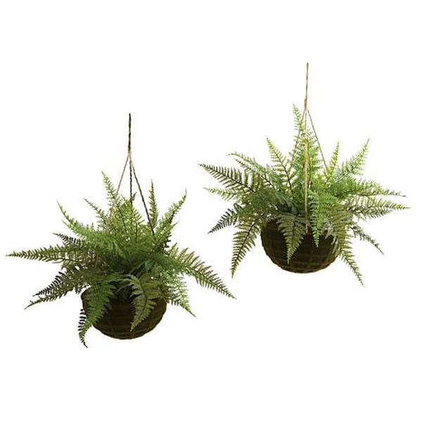Nearly Natural Leather Fern with Mossy Hanging Basket  Set of 2