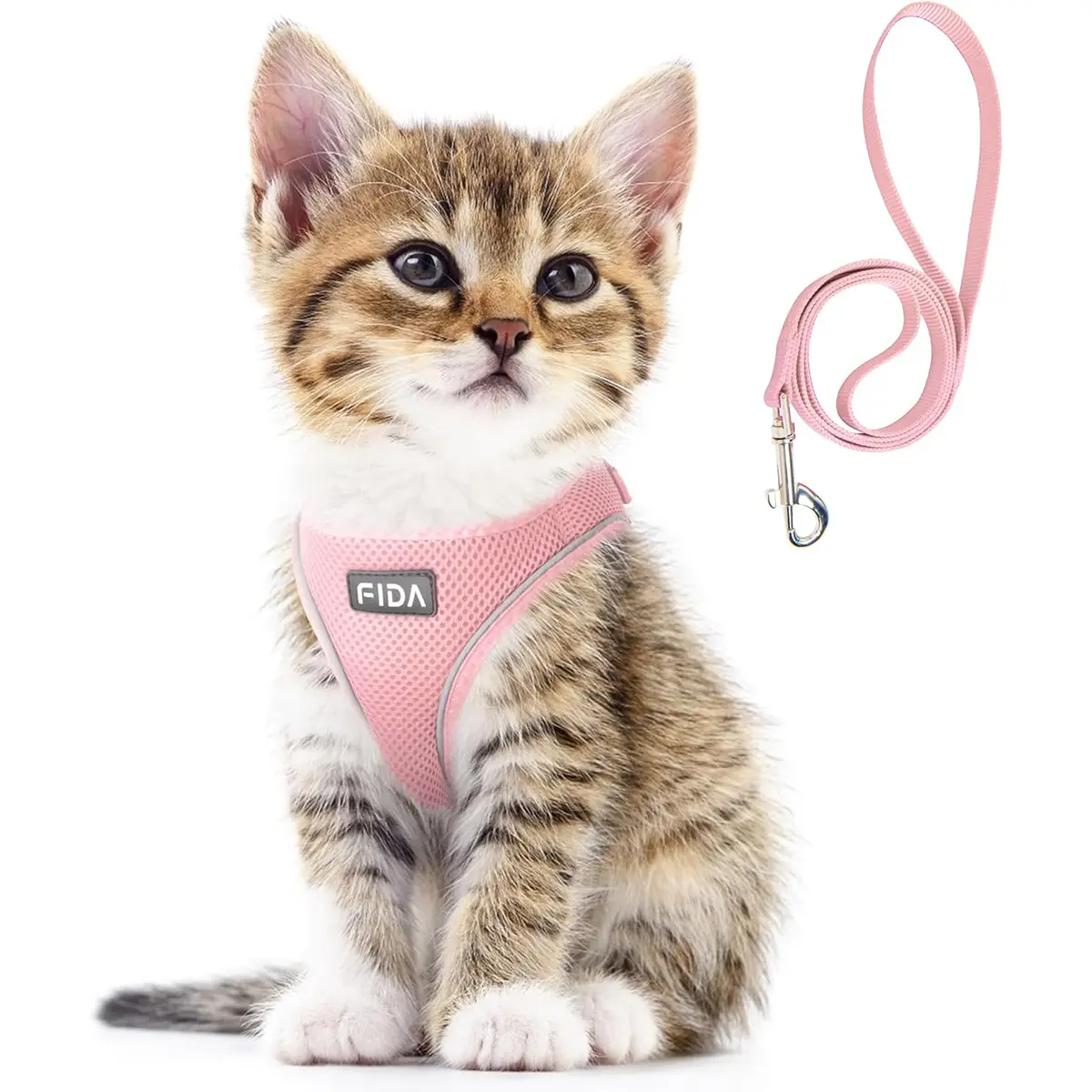 Fida Customized Cat Walking Harness & Leash Set - Escape-Proof Soft Mesh Vest, Adjustable Breathable Reflective Strip Step-In Design for Comfortable Walks (M: Neck Girth 14.6in-16in, Chest Girth 18.9in-20.5in) | Pet Collars & Harnesses & Leads