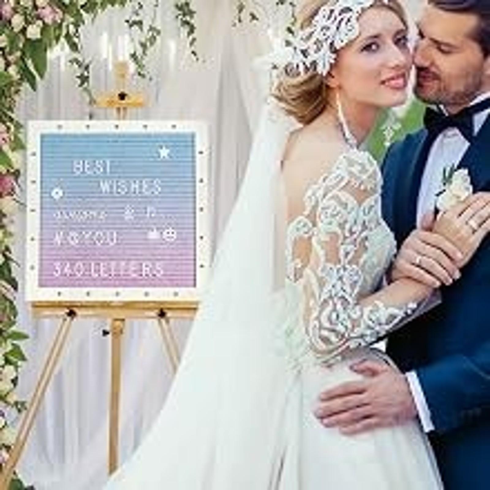Pink Felt Letter Board with Lights, Built-in LED Lights -Message Board Adjustable Stand, 340 Letters and Christmas,- for Menus, Pregnancy Announcement, Weddings, Party Planning(10 * 10)