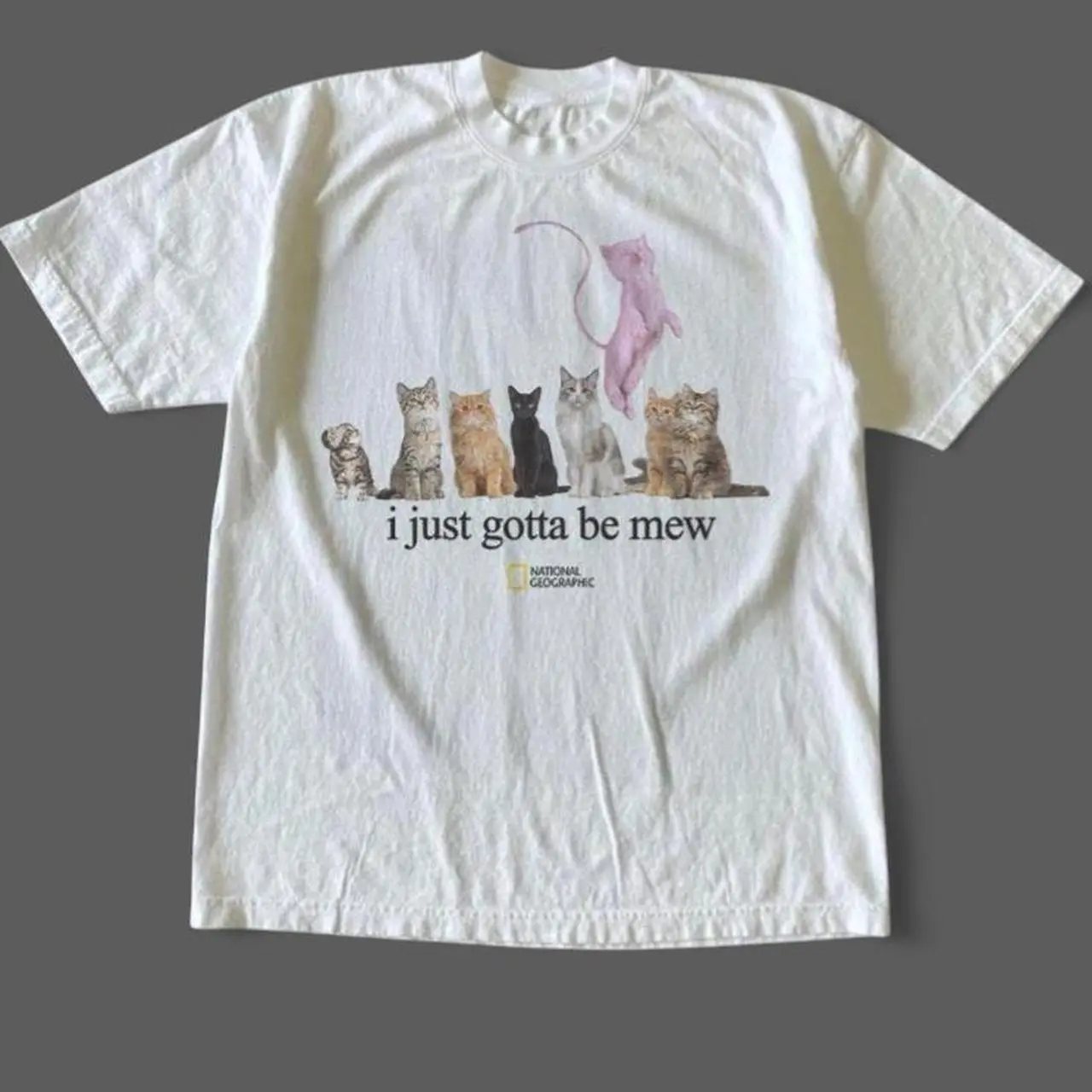 Gildan Men's and Women's T-shirt, National Geographic cat  i just gotta be mew  tee, Animal tee, Y2k Unisex Graphic Tees Gothic Grunge Emo Scene Amity Affliction Style Clothes Menswear Womenswear Streetwear