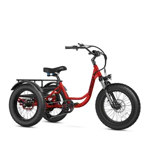 ADDMOTOR LANDTAN Electric Tricycle for Adults, 750W(Peak 1400W) Rear Motor Electric Trike, 720Wh 65Miles Etrike, 20" Fat Tire Step-Through 3 Wheel Electric Bike with Differential & Parking Brake, Rear Basket