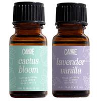 Cactus Bloom & Lavender Vanilla