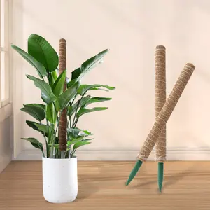 Giant Bamboo Support Pole – Eco-Friendly Green Moss Climbing Column with Coconut Palm Rod & Natural Coconut Thread for Indoor/Outdoor Plant Training, Vertical Garden Support, and Tropical Aesthetic Flower Rack