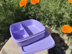 Eco lunch 550 ml lila con divicion Morado