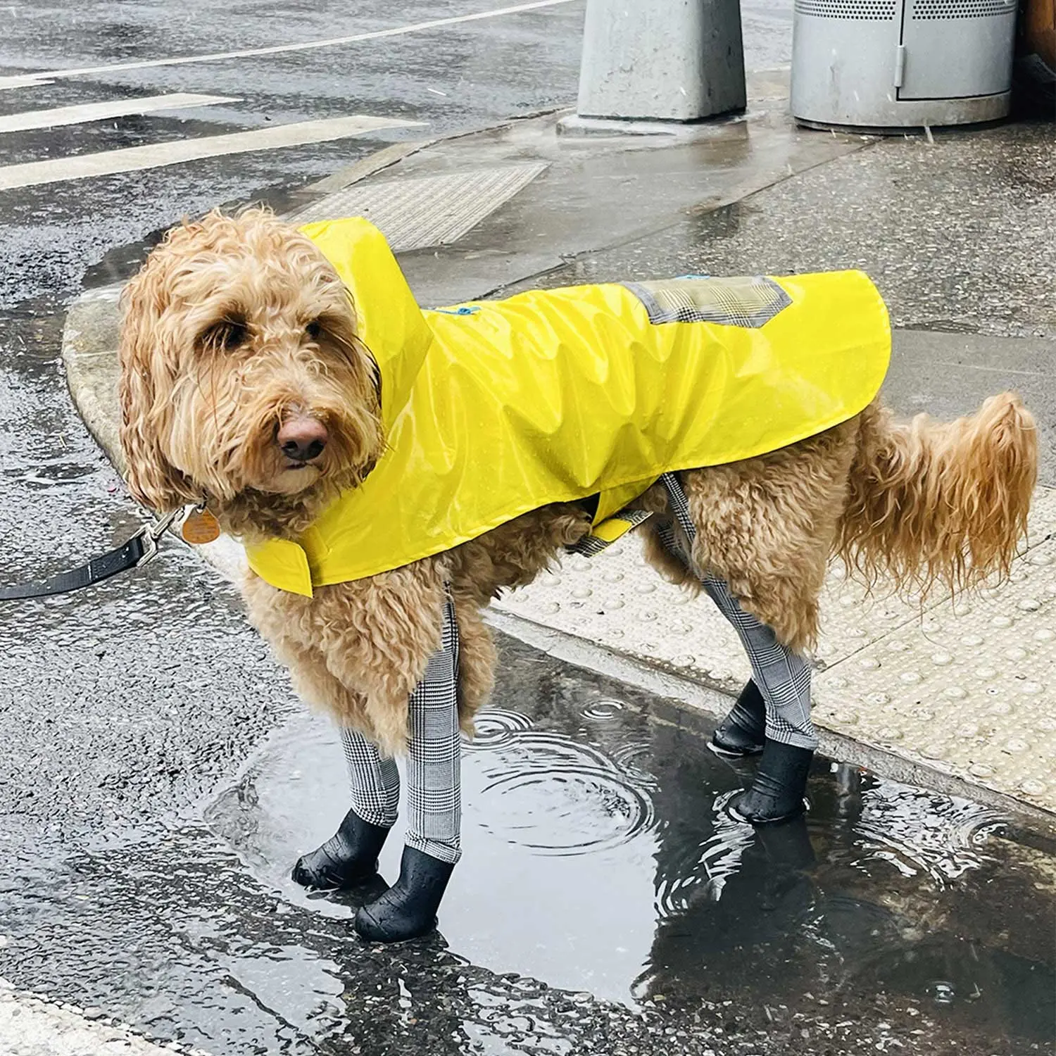 Walkee Paws Lightweight Waterproof Dog Raincoat with Adjustable Leash Opening