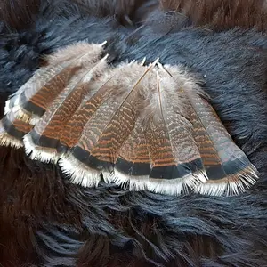 15PCS Feathers 10-15cm/3.93-5.9in  Can Be Used for Home Decoration, Halloween Costume Accessories, Carnival Costumes, Wedding Decorations and A Variety of Other Uses, and Can Be Used To Create Decorations on Appropriate Places and Costumes.