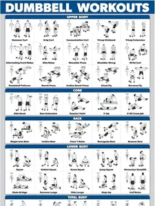 Dumbbell Workout Exercise Poster - Free Weight Body Building Guide | Home Gym Chart - LAMINATED, 18" x 24"