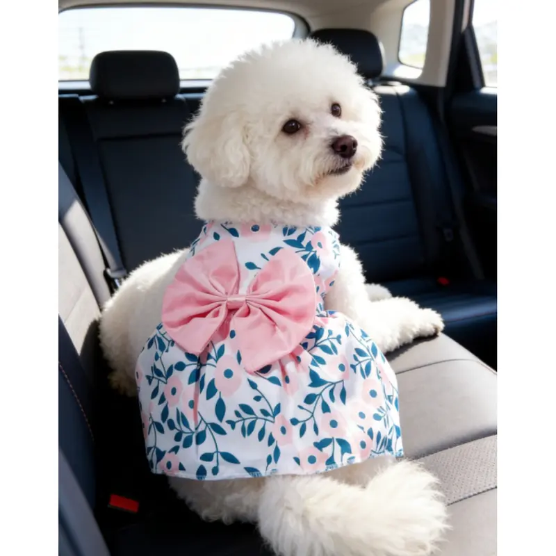 summer dog outfits - TikTok Shop