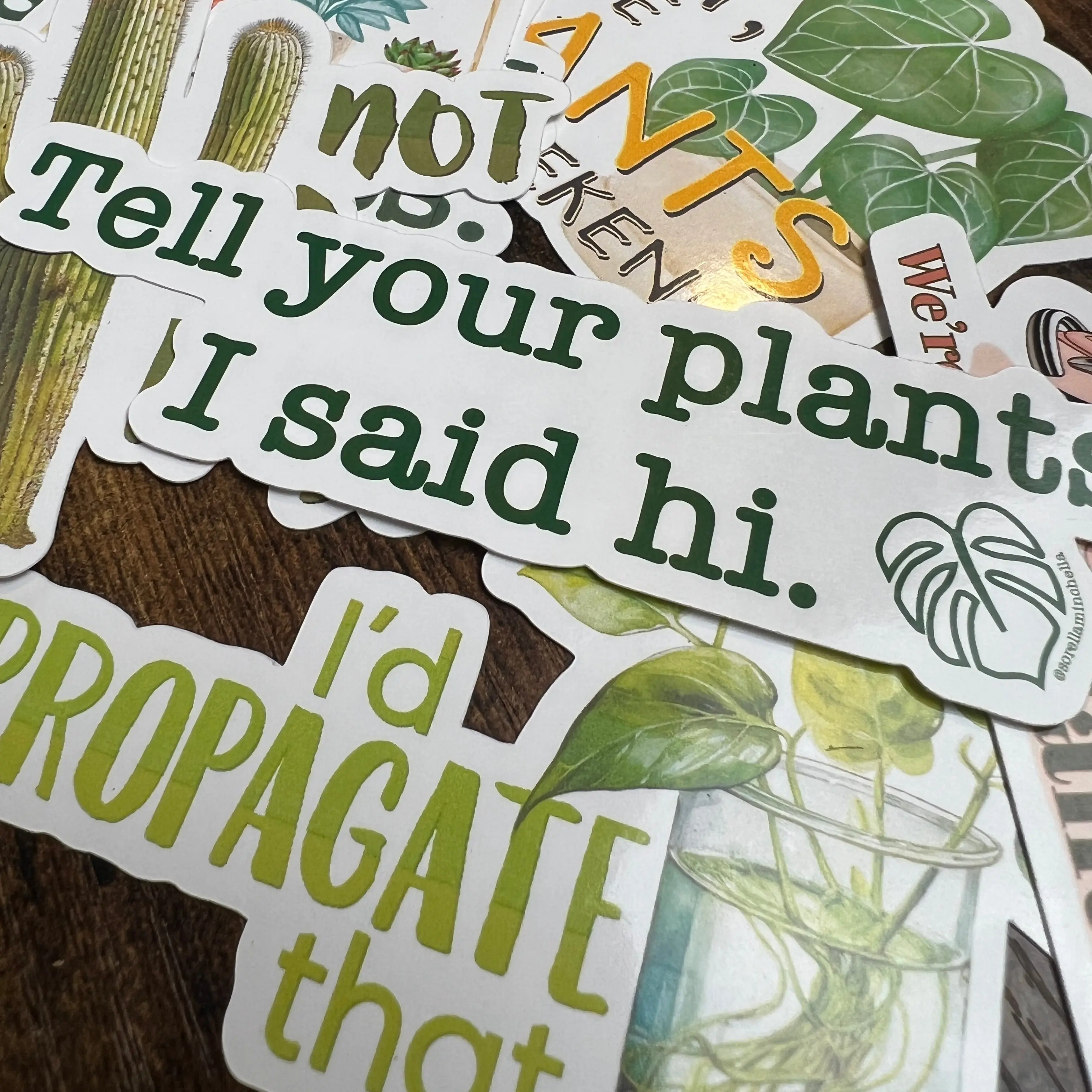 Sarcastic Plant Sticker Set, Seven (7) Plant Lover Stickers