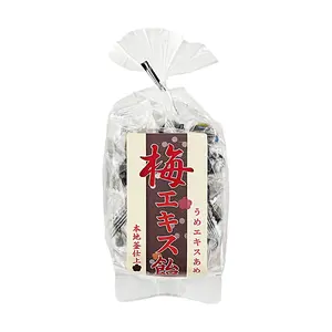 Iwaiseika Japanese Ume Plum Candy 80g - Authentic Japanese Sour & Sweet Hard Candies