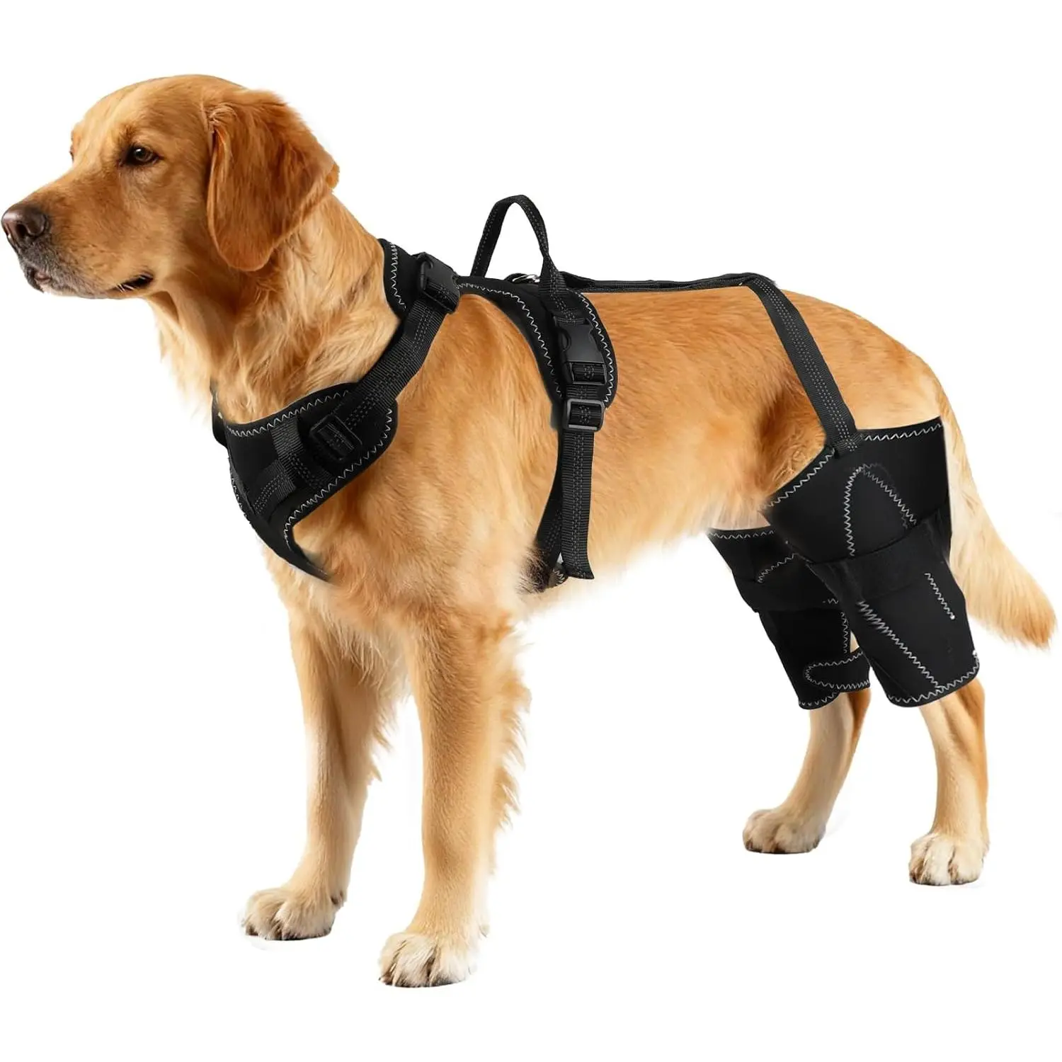 Vivifying Dog Hip & Leg Support Harness for Mobility Assistance, Adjustable Rear Leg Brace with Lift Handle for Injured or Senior Dogs, Joint Stabilizing Hind Leg Support for Walking, Recovery (L)