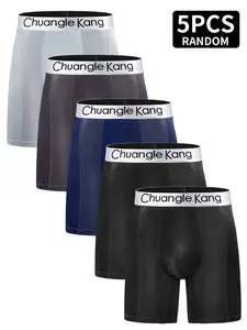 Men's Quick-Dry Briefs Set of 5, Nylon Mesh Breathable Elastic Triangle Pants, Semi-Transparent Design, Sports Fitness Daily Wear