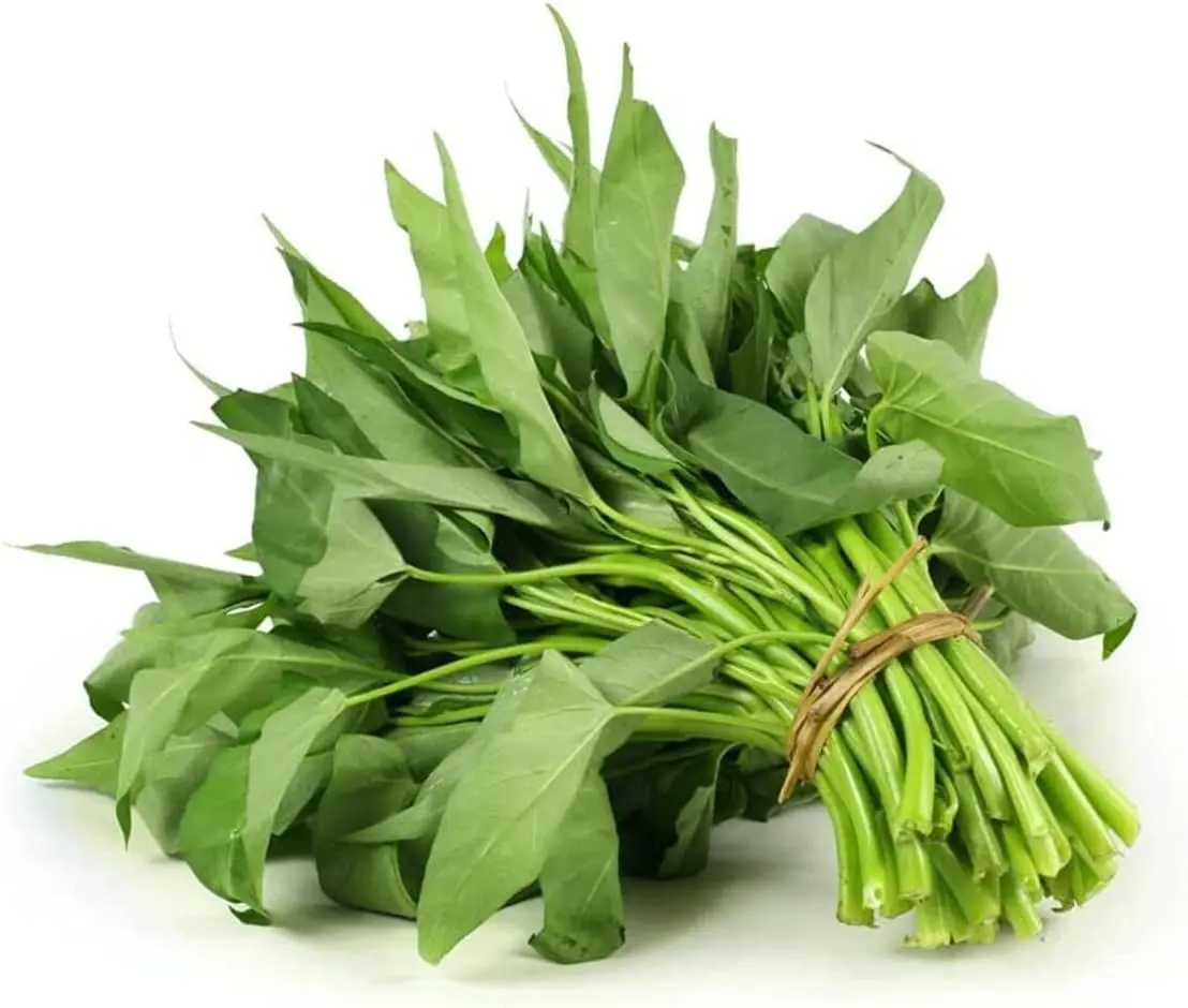 250 Kong Xin Cai Seeds (Water Spinach / Ipomoea aquatica) – Fast Growing, Heat-Loving Asian Green