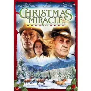 USED-Christmas Miracle at Sage Creek (DVD)