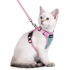 rabbitgoo Fusion Adjustable cat harness and leash set