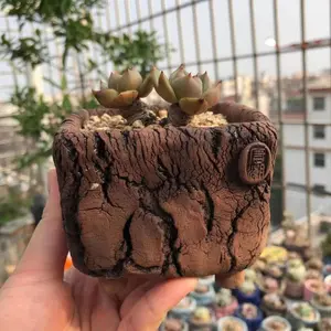 Ceramic Succulent Planter Handmade, Mini Bonsai Pot with Legs, Yellow Clay Cracked Plant Pot for Cactus Small Plants, Breathable Indoor Flower Pot for Desk Shelf Home Decor, 5x5x4 Inch