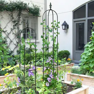 Garden Obelisk Trellis for Climbing Plants Outdoor 6.2 Ft Rose Bush Round Trellis for Pots Rustproof Metal Plant Flower Trellises for Clematis Vine Jasmine Support Outdoor Indoor