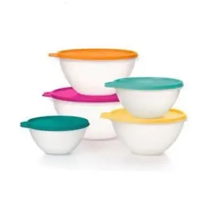 Wonderlier Bowl Set of 5 - Multicolor Plastic Bowls with Lids for Kitchen Storage and Mixing
