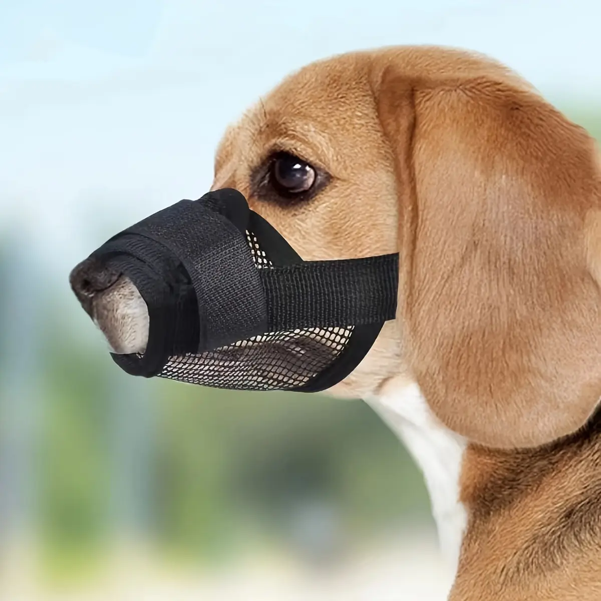 Breathable Dog Muzzle, Anti-Bite & Anti-Barking Pet Muzzle with Adjustable Strap for Dogs