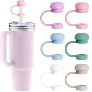 Silicone Straw Lid, 6 Counts Dustproof & Leak-proof Reusable Straw Top Cap, Drinkware Accessories For Stanley Cup, Summer for Gift