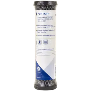 Pentek C1 Dual Purpose Sediment Carbon Filter - SF-CF-5-10