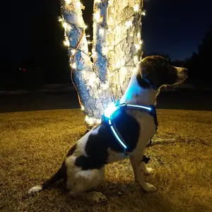 Paw-Brite LED Dog Harness