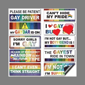 LGBT Rainbow Magnetic Bumper Stickers 10 Pack - Funny Prank Decals for Cars Trucks, Reusable Decor for Refrigerator Window Luggage