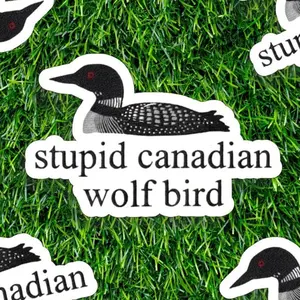 Stupid Canadian Wolf Bird Sticker, Holographic Waterproof Vinyl, Funny Loon Laptop & Kindle Sticker