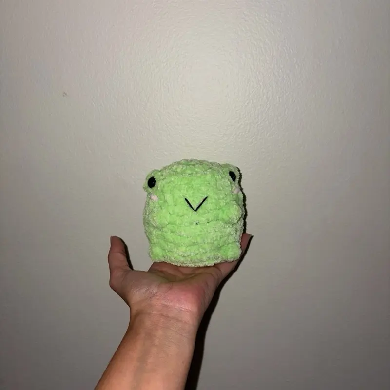 Crocheted Frog Plushie