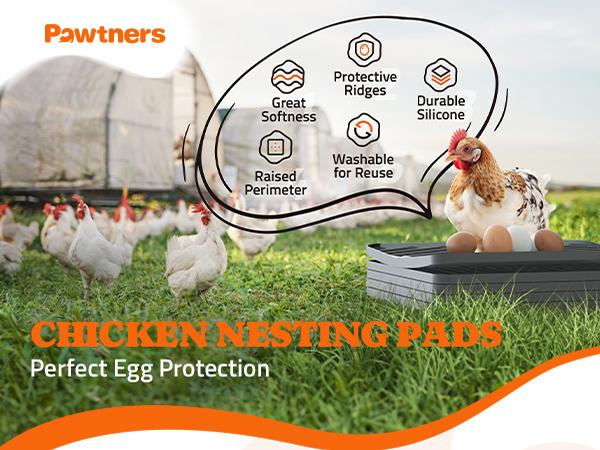 Pawtners Chicken Nesting Box Pads, 6-Pack Value Washable Reusable Silicone Mat Liners (12x12in) for Chicken Coop Hens, Egg Protection, Reduces Cracking Poultry Bedding Mats