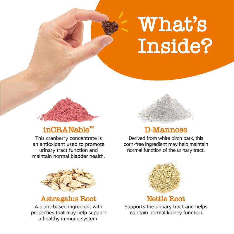 Zesty Paws Urinary Tract Bites for Dogs Soft Chew Pet Treats with Cranberry D-Mannose & Astragalus for Kidney Bladder Health Immune Function Premium InCRANable Concentrate