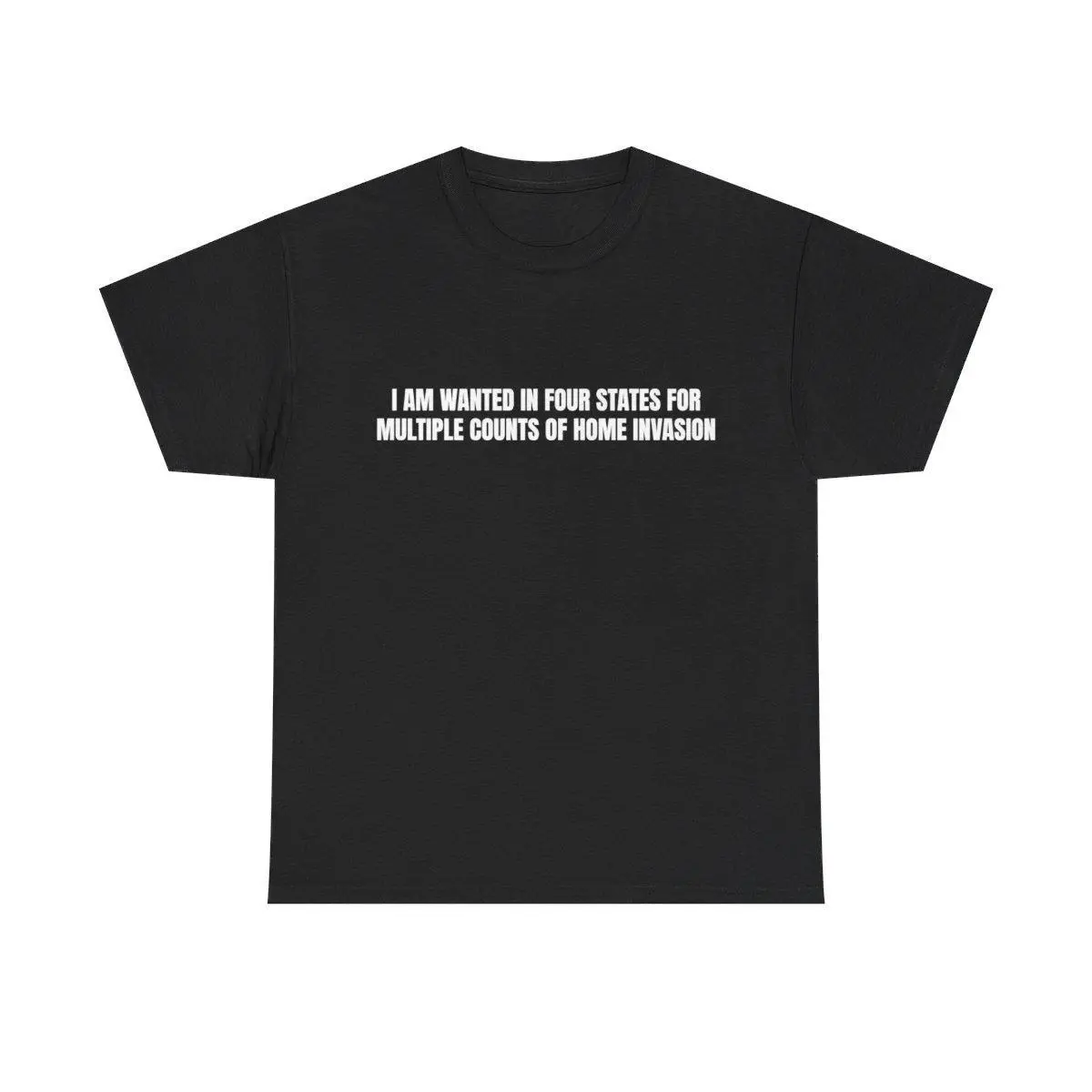 I am wanted in four states for multiple counts of home invasion TShirt- Funny Meme, Cringe TShirts, Parody Tees, Gag Gifts, Ironic Tee, Dad Jokes, College Humor, Brainrot Shirt, Adult funny T-shirt, Gift for Woman and Man