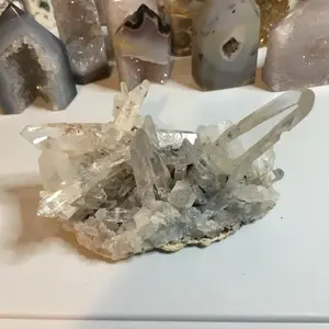 Lemurian Cluster From Columbia