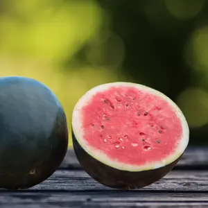 Heirloom Black Diamond Watermelon Seeds - Grow Seeded Heirloom Watermelons