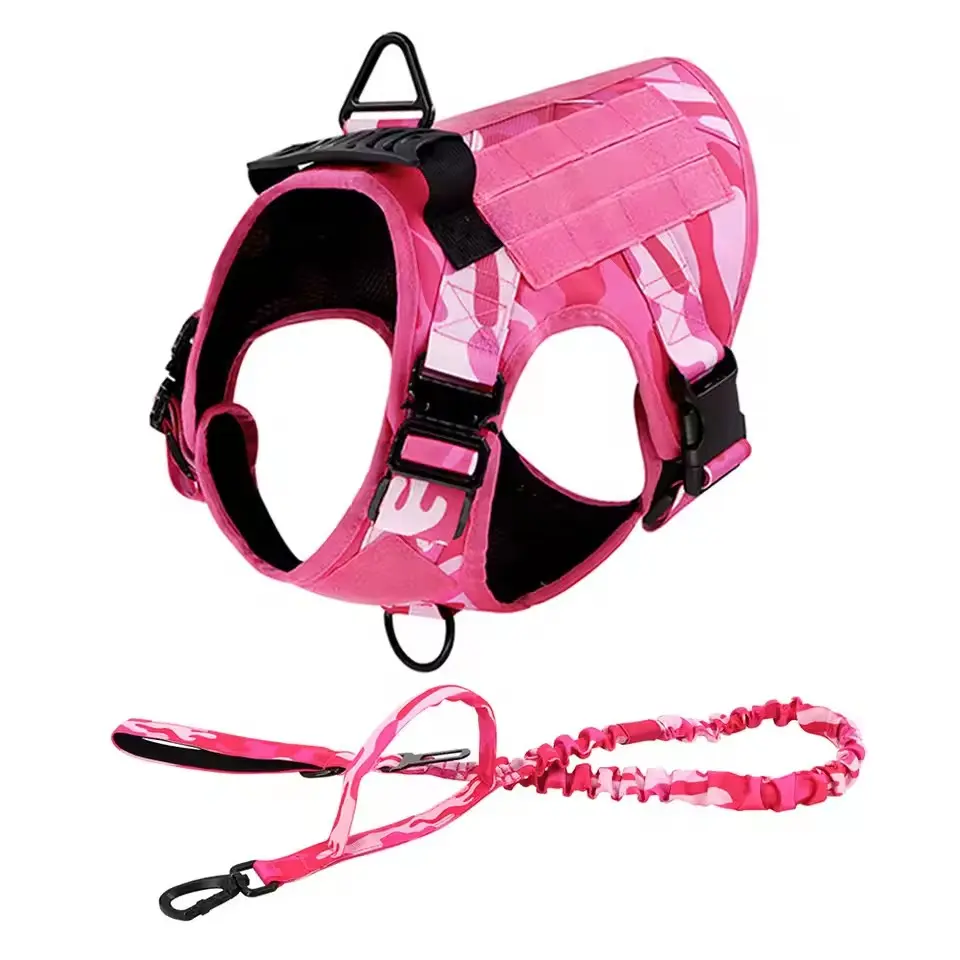 Pink Harness with Leash