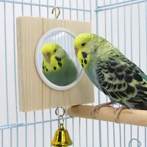 Parrot self-entertainment mirror, parrot bird toy mirror, parrot supplies and accessories, parrot chewing and training mirror