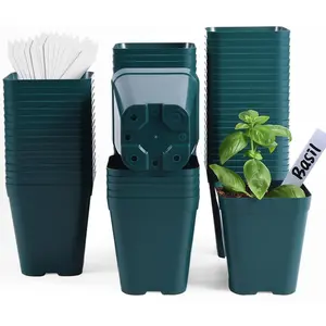 Plastic Seedling Pots, 60 Pack Square  Pots 4 Inch, Small  Pots with Drainage Holes for Seedlings, , Cuttings (Green)