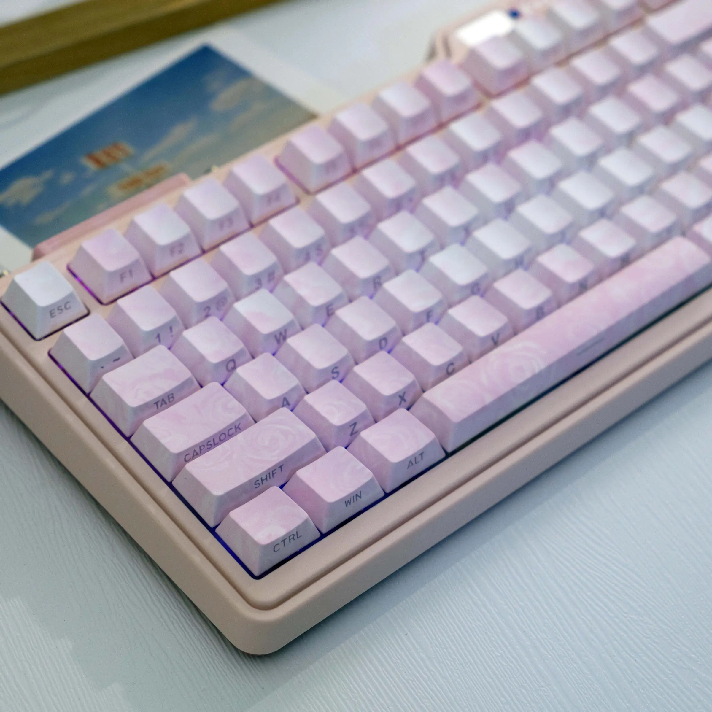 138 Key Rose Coast Pbt Keycaps, Keycaps For Mechanical Keyboard, Keycap Set, Cherry Style Side-Printed Semi-Transparent, Dye Sublimation, Compatible with Mx Axes, Fits 61/64/68/87/96/104/108 Models