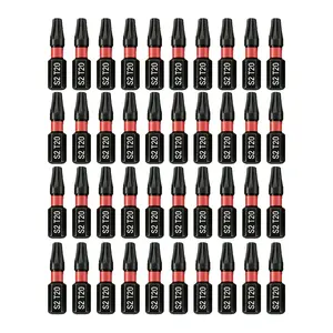 Magnetic Screwdriver Bit Set, 80-Piece Impact Ready S2 Steel Driver Bits, Magnetic Tips, Automotive Repair & DIY Projects, T20