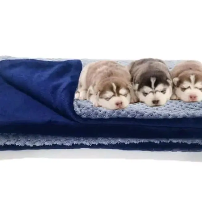 TrainPro 40 X 47 Premium Fluffy Fleece Dog, Puppy or Kitty Blanket. Soft and Warm Pet Throw for Puppies, Dogs & Cats. BLUE