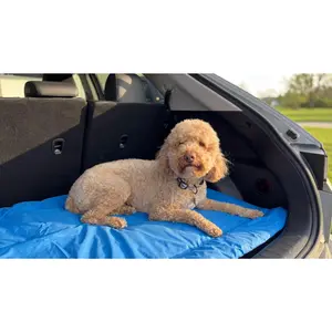 Roam Adventure Bed - Portable Waterproof Dog Bed for Travel Camping Hiking - Rollable with Carry Strap - Cloudburst Gray Juniper Blue - Small & Large Sizes - Machine Washable & Non-Slip