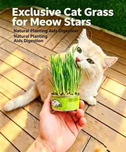 Organic Cat Grass Seeds, Non-GMO, Indoor Cat Grass Seeds, Suitable for Indoor and Outdoor Cats, Indoor Cat Grass - Grow Kit - 100% Organic Cat Grass Seeds (Non-GMO) cat stuff for indoor